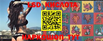 трава Кимры
