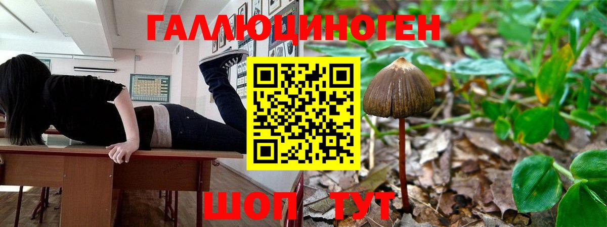 Псилоцибиновые грибы MAGIC MUSHROOMS  Вход с VPN  Галлюциногенные грибы ЛСД  Шахты 